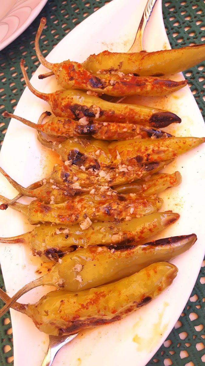 Zum Schutzenhaus - Griechisches Steakhouse-7